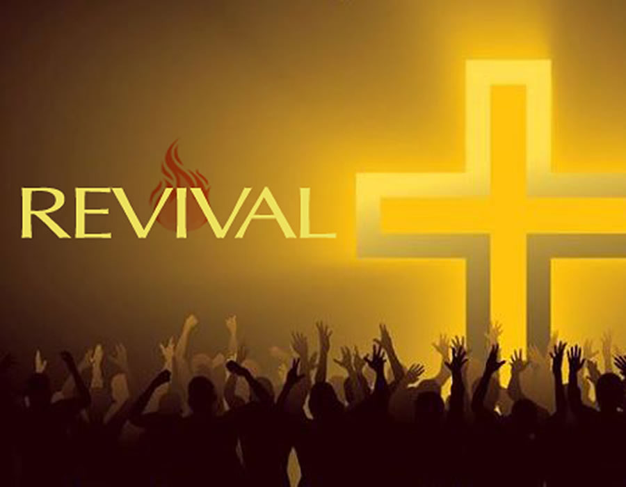 Read more about the article I AM REVIVAL!