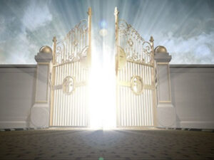 Church versus Kingdom